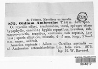 Image Associated With the Occurence